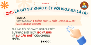 QMS là gì? Giải thích về sự khác biệt giữa ISO và EMS, cùng như tính cần thiết của chứng nhận.